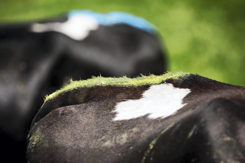 Heat detection: what are your options? - 31 March 2021 Free