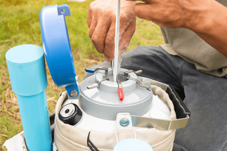 The cows in cattle breeding Stock Photo - Alamy The cows in cattle breeding Stock Photo - Alamy