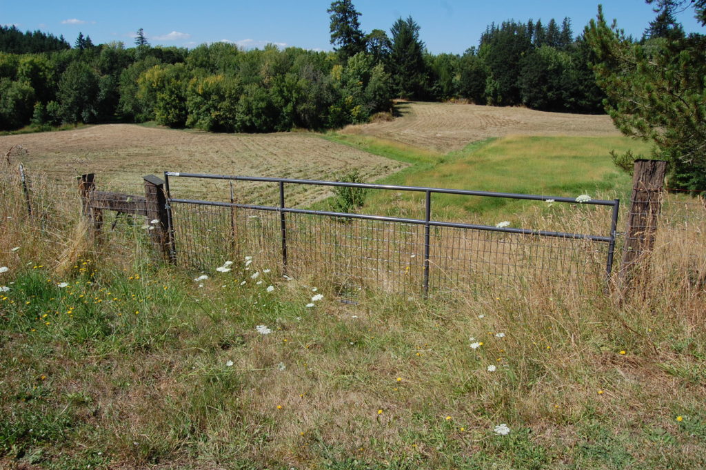 Two pictures of a wooden fence in the grass