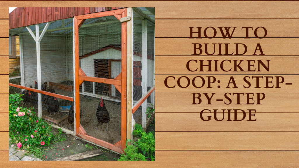 How to build a chicken coop