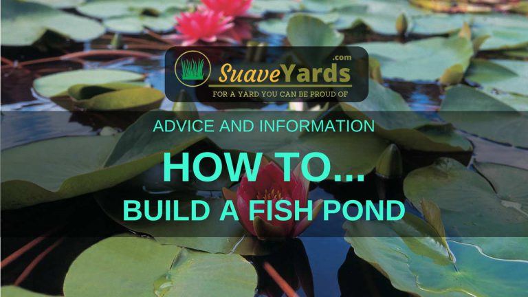 How To Build A Fish Pond - 5 (Easy) Steps