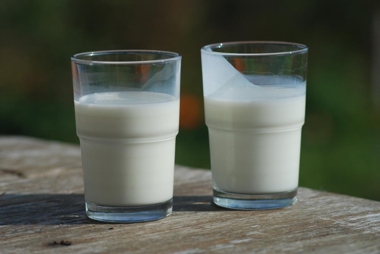 Which milk is the best? – Food and Remedy