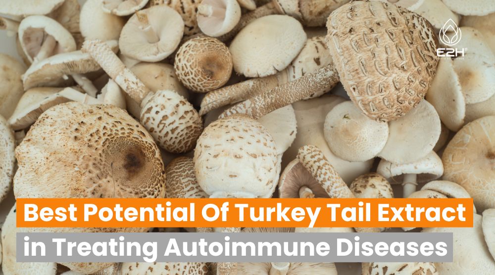 Causes and treatment of fungal diseases in Turkey Causes and treatment of fungal diseases in Turkey