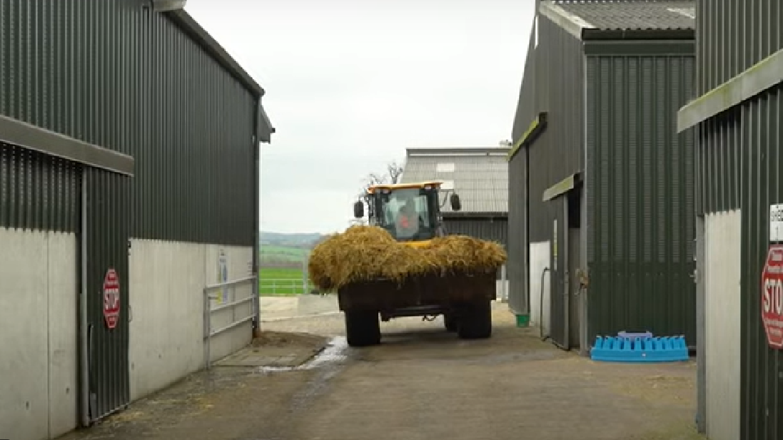 Homestead Safety – How To Keep Yourself Secure While Doing Farm Work ...