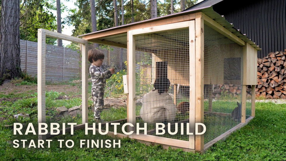 7 Beautiful DIY Rabbit Hutches You Can Make Today (With Pictures ... 7 Beautiful DIY Rabbit Hutches You Can Make Today (With Pictures ...
