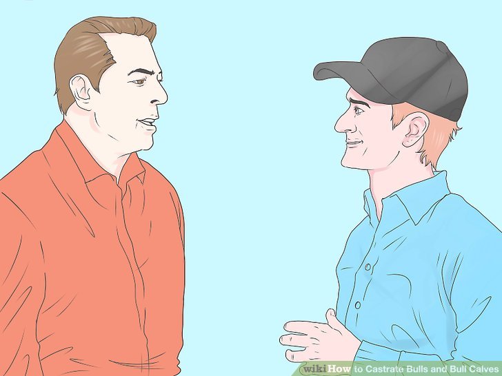 3 Ways to Castrate Bulls and Bull Calves - wikiHow