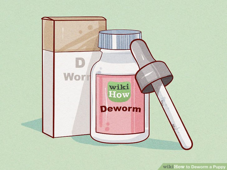 How to Deworm a Puppy: 13 Steps (with Pictures) - wikiHow How to Deworm a Puppy: 13 Steps (with Pictures) - wikiHow