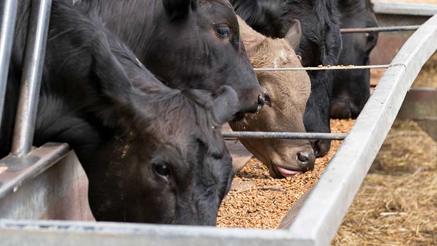 Updated safety guidance for receiving livestock feed deliveries ...