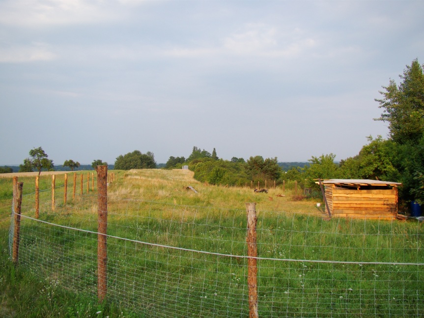 Building a Sheep Shelter – Hof Ubuntu Building a Sheep Shelter – Hof Ubuntu