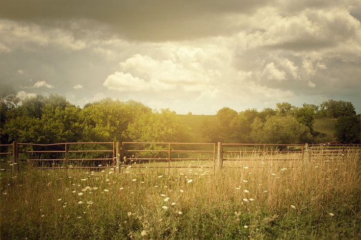Fence pasture stock photo. Image of picket, horizontal - 21455610