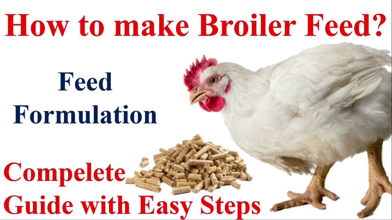 How To Make Broiler Starter And Finisher Feed - FarmPally.com