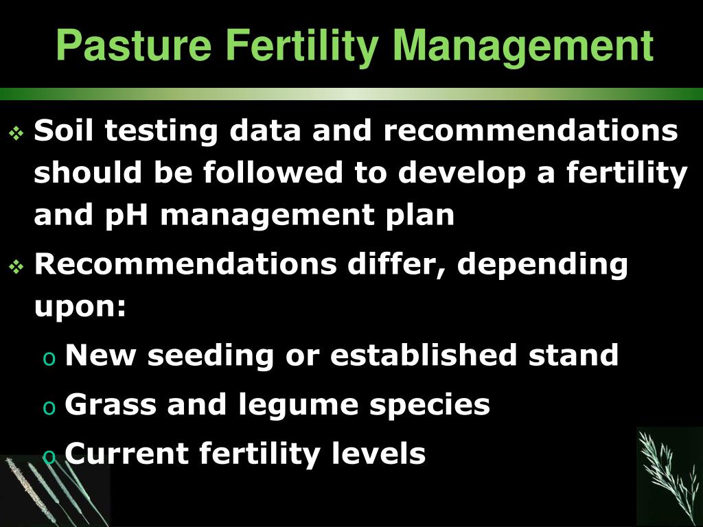 PPT - Soil Fertility and Pasture Fertilization PowerPoint Presentation ...
