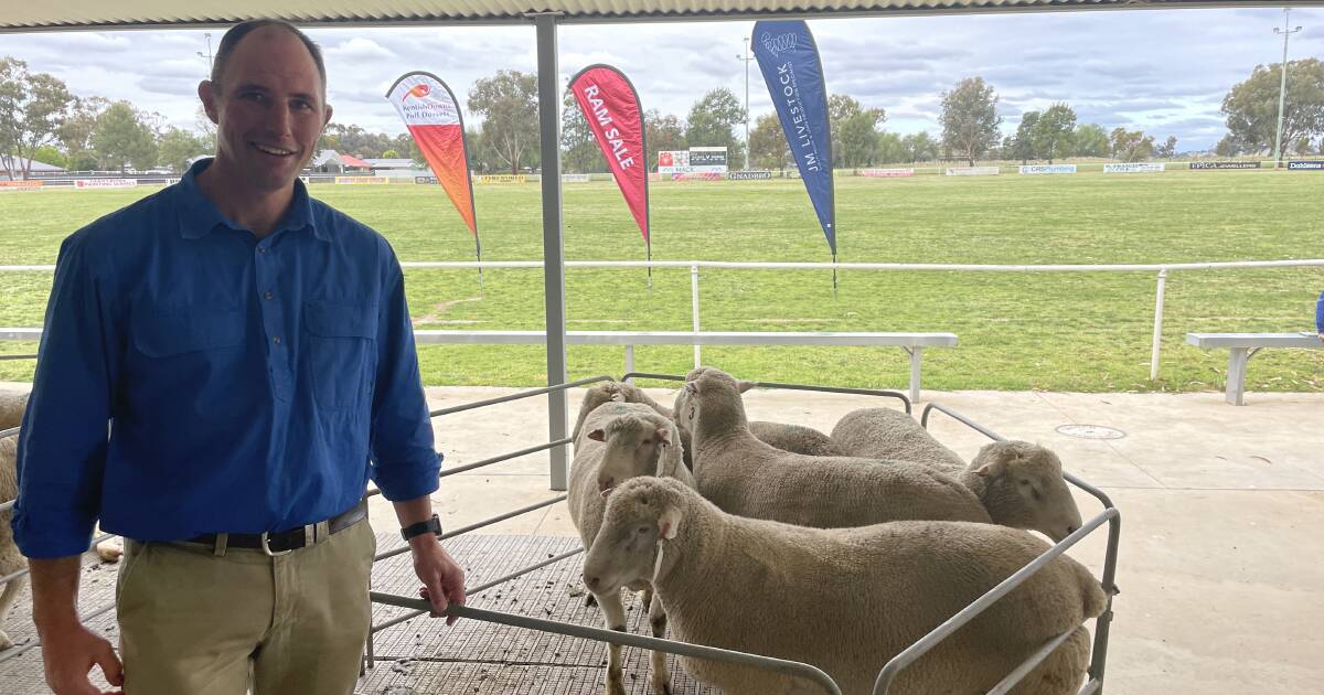 Breeding sheep for your environment | The Land | NSW