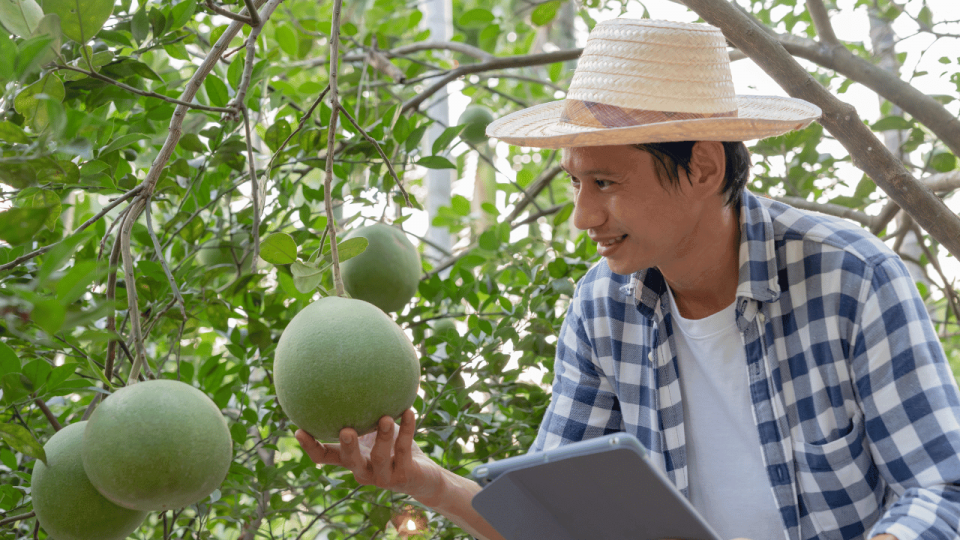 Farm Record Keeping Log Book: Farm Management Record Keeping Book for ...