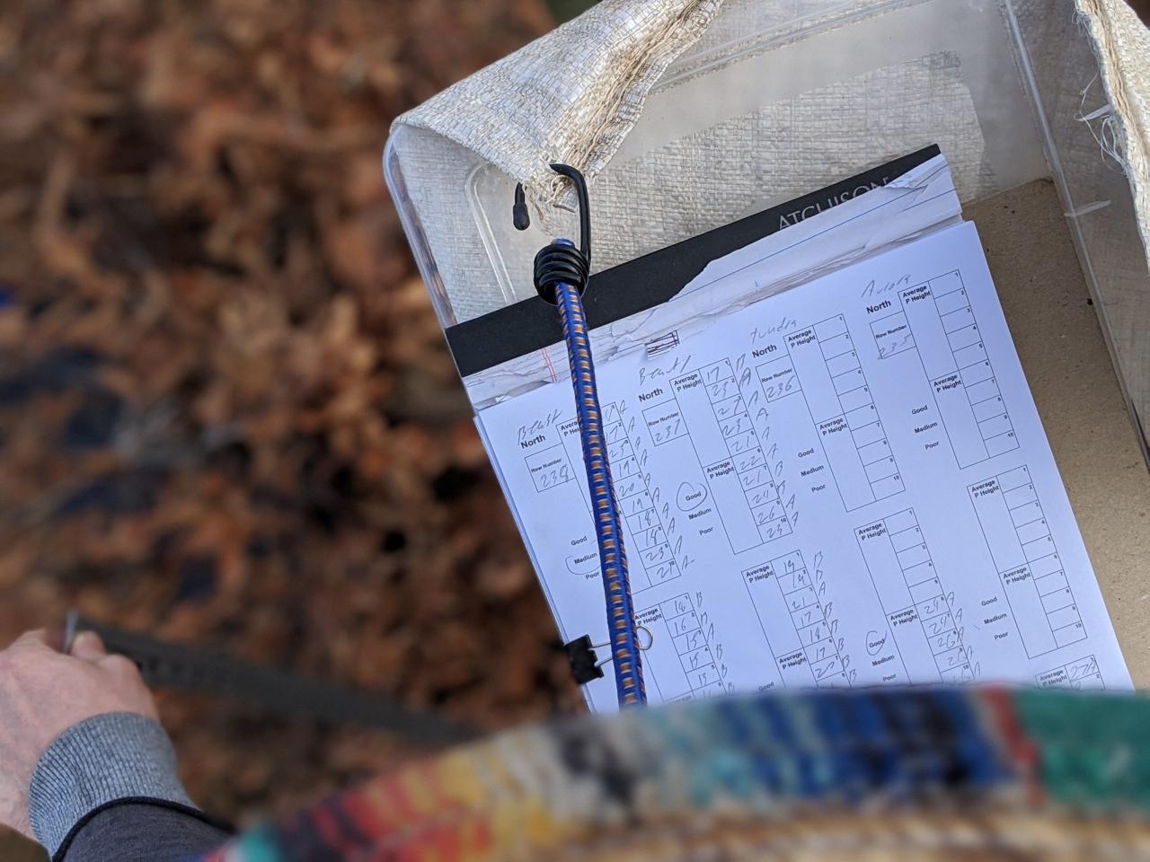 How To Apply For A Federal Grant How To Apply For A Federal Grant