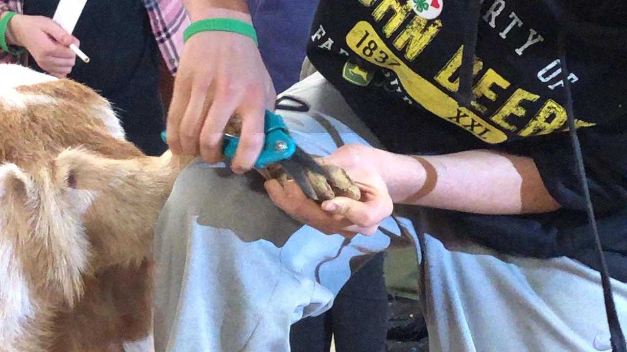 Java String trim() Method - GeeksforGeeks