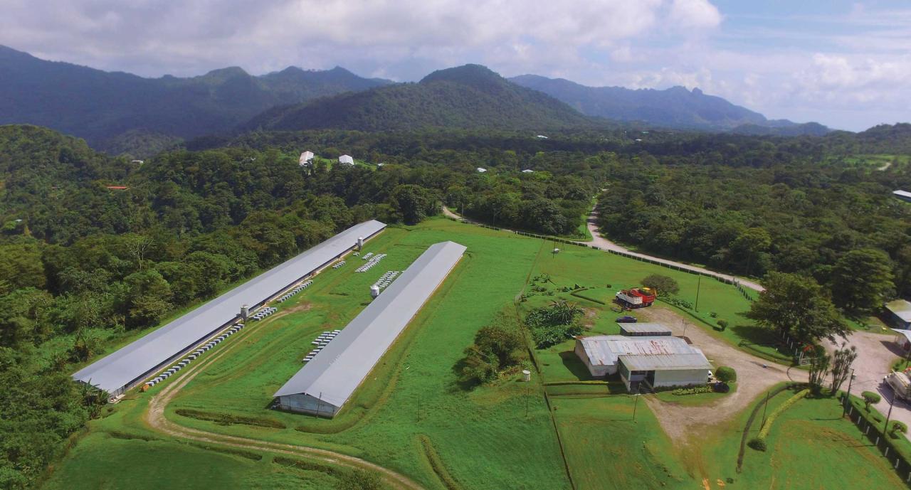 Farm Waste Management - Ecological Laboratories Farm Waste Management - Ecological Laboratories