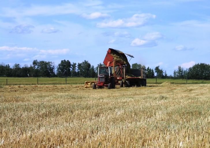 How to Make Silage: 12 Steps (with Pictures) - wikiHow