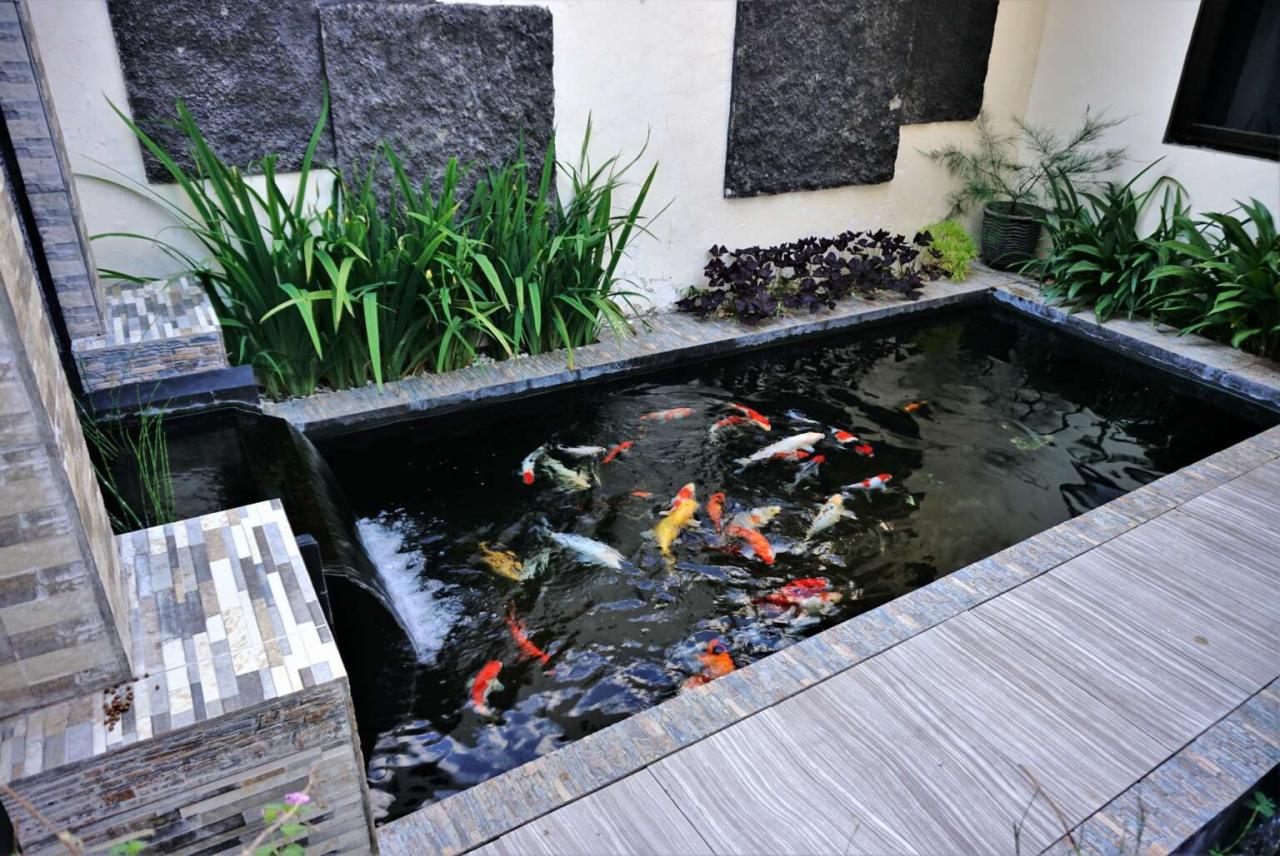 6 Tips to Keep Your Fish Pond Water Clean