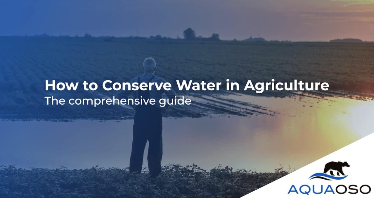 How to Conserve Water in Agriculture - A Comprehensive Guide How to Conserve Water in Agriculture - A Comprehensive Guide