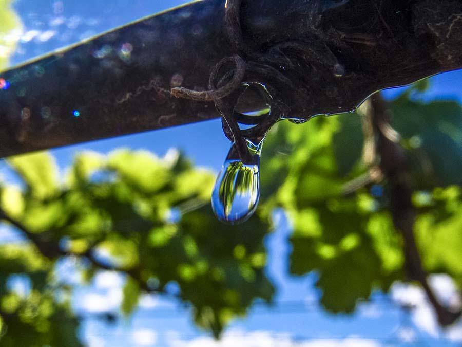 Water Conservation Grants for Farms Water Conservation Grants for Farms