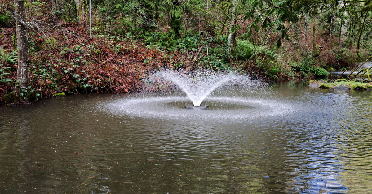 Can You Over Aerate a Pond? - About Backyard