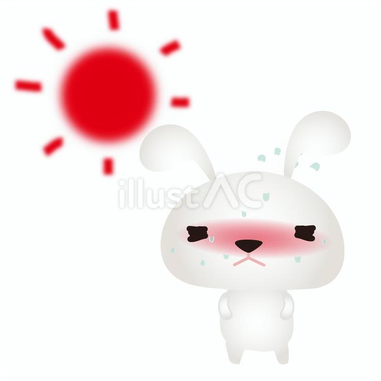 My Rabbit has Heat Stroke - Signs and Treatment My Rabbit has Heat Stroke - Signs and Treatment