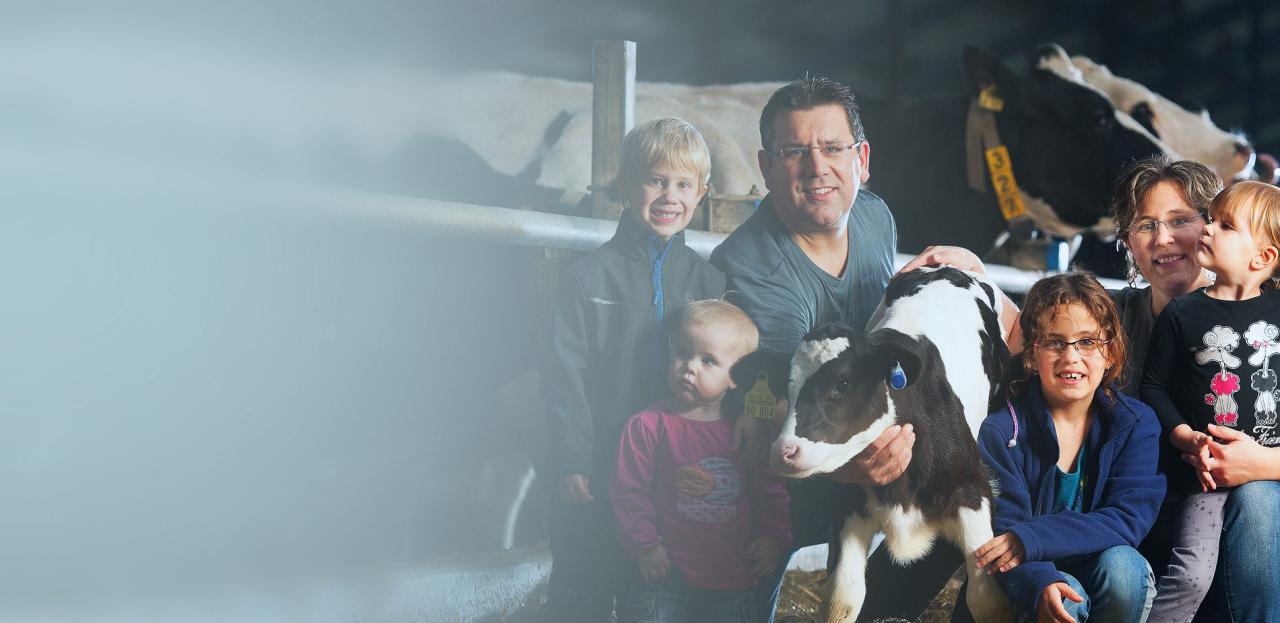 How Livestock Monitoring Systems Can Decrease Calf Mortality Rates ...