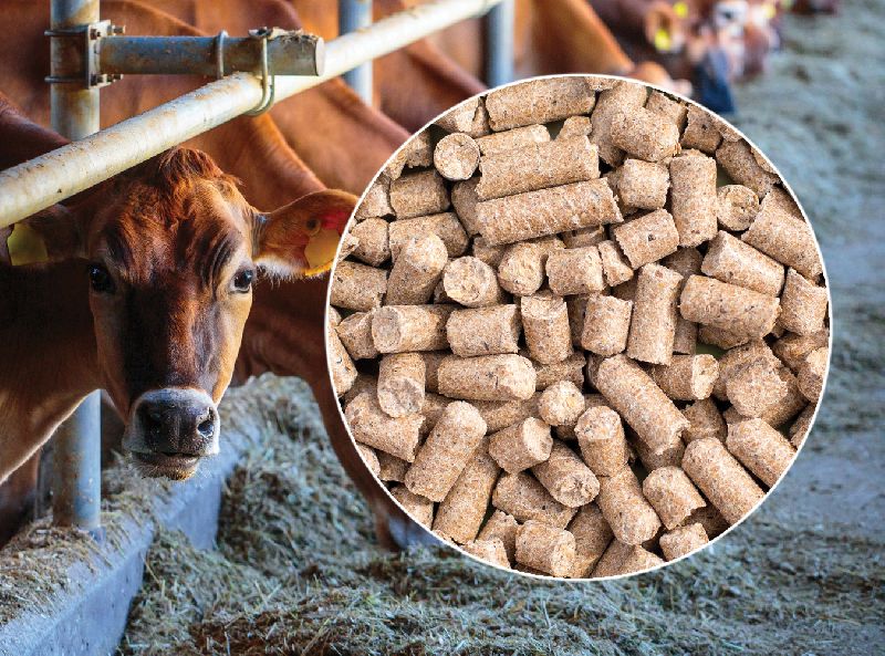 Cattle Feed at Rs 35 in Hyderabad - ID: 5771209 | SEAWAYS SHIPPING AND ...