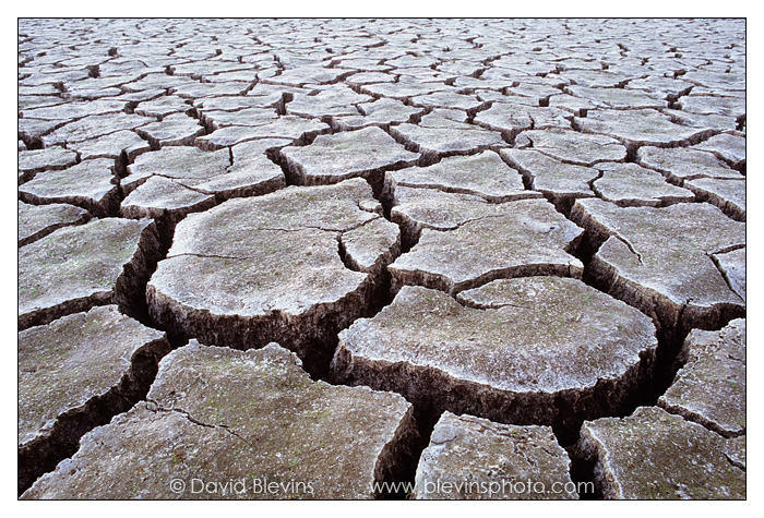 Dry Lake Bed - David Blevins Nature Photography