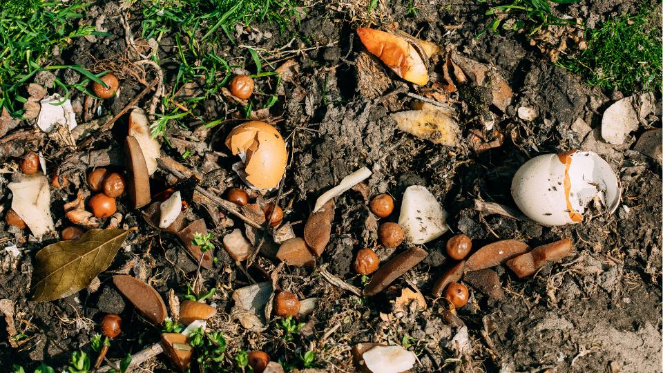 How to manage farm waste