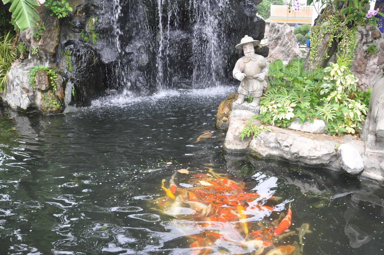 How To Properly Manage Your Koi Fish Pond During And After Rainfall ...