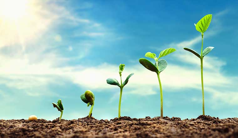 How to Use the GROW Model to Coach Your Agents How to Use the GROW Model to Coach Your Agents