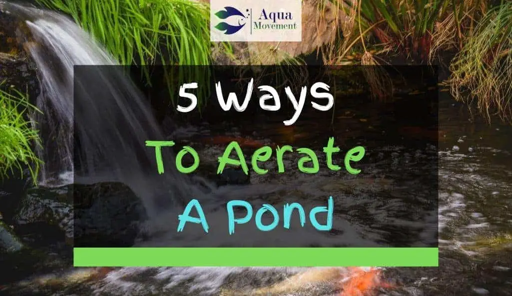 How to Aerate a Pond | Outdoor ponds, Pond, Pond cleaning