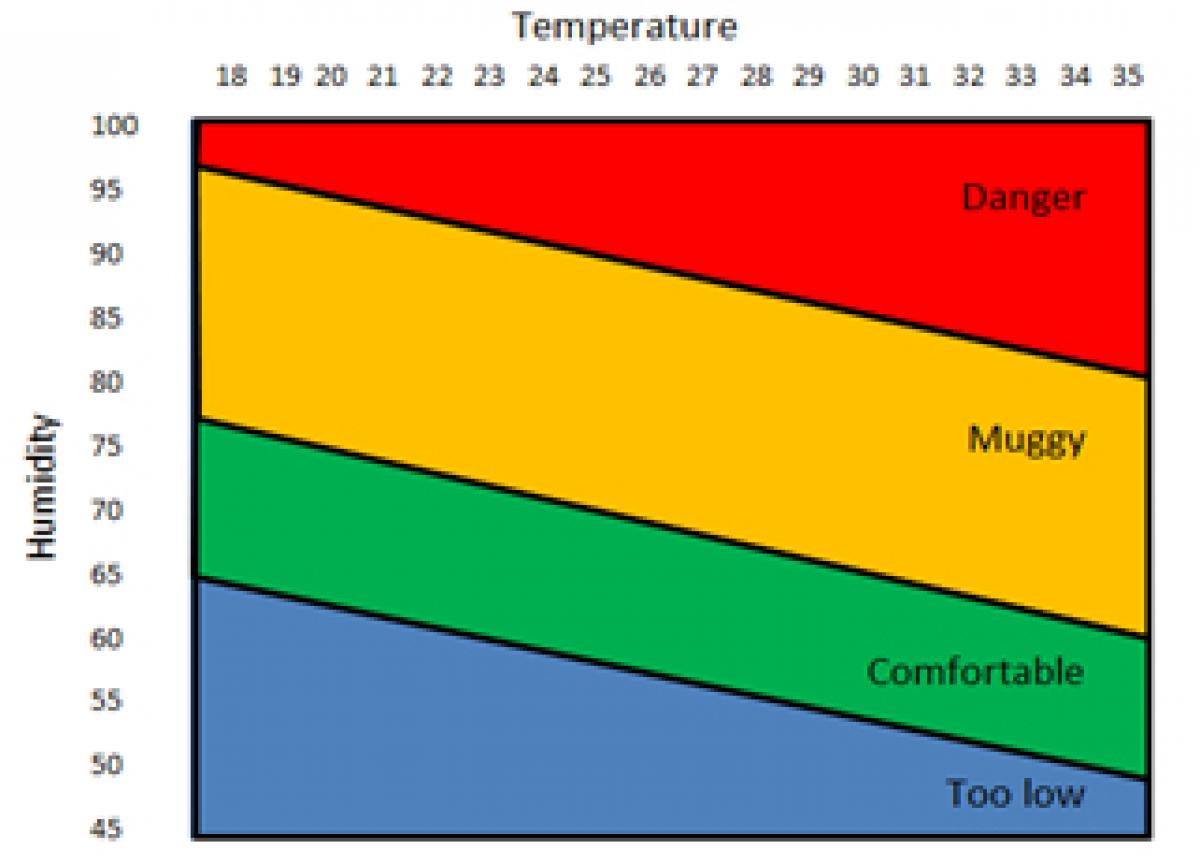 What is the optimal temperature for poultry? - Fancom What is the optimal temperature for poultry? - Fancom