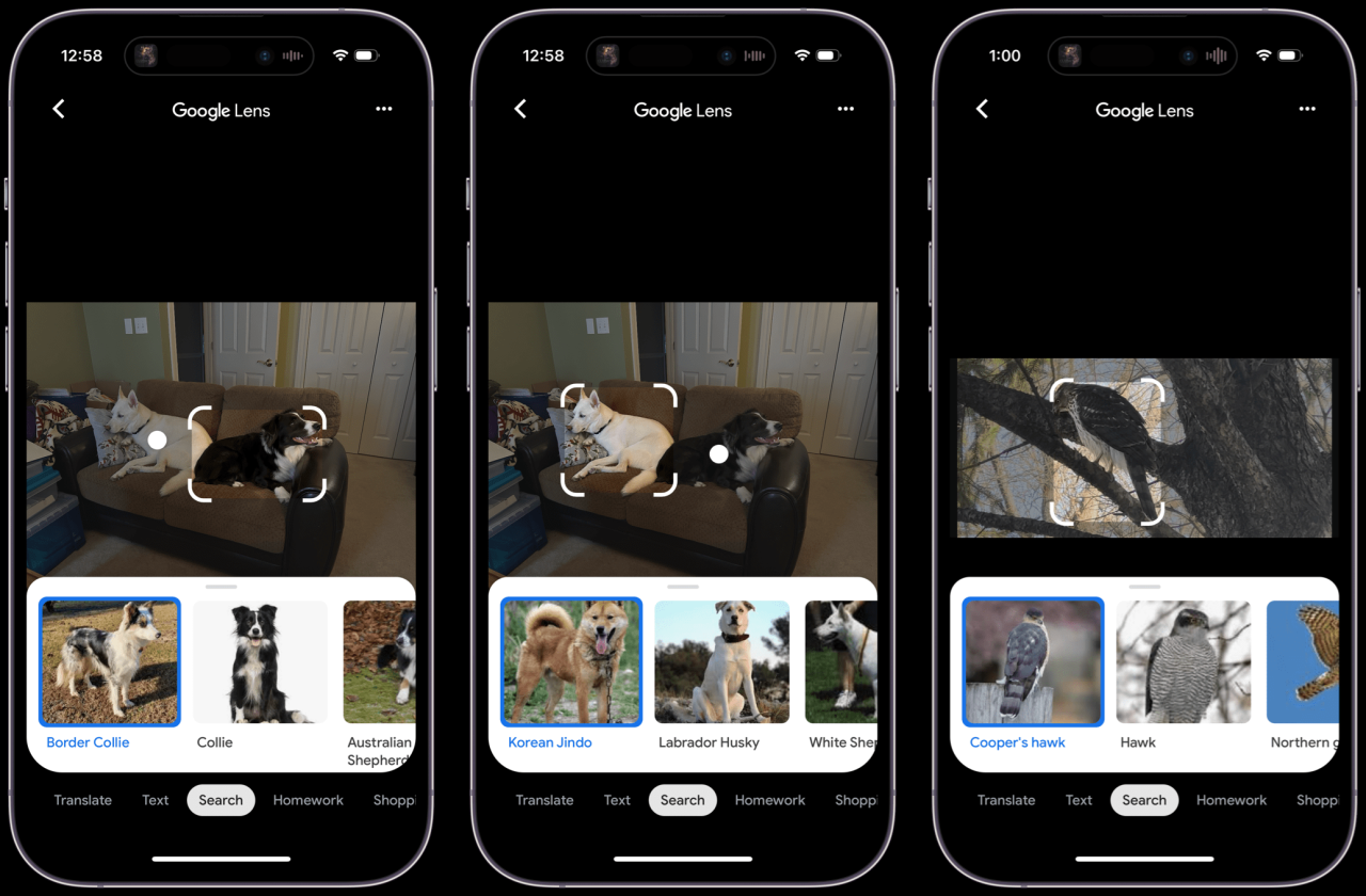 How to Google Reverse Image Search on iPhone • macReports