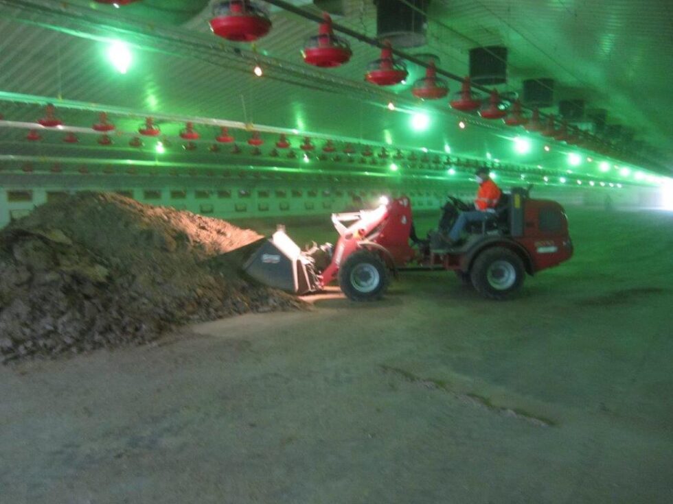 Ammonia control evolves to poultry litter preparation - Poultry World