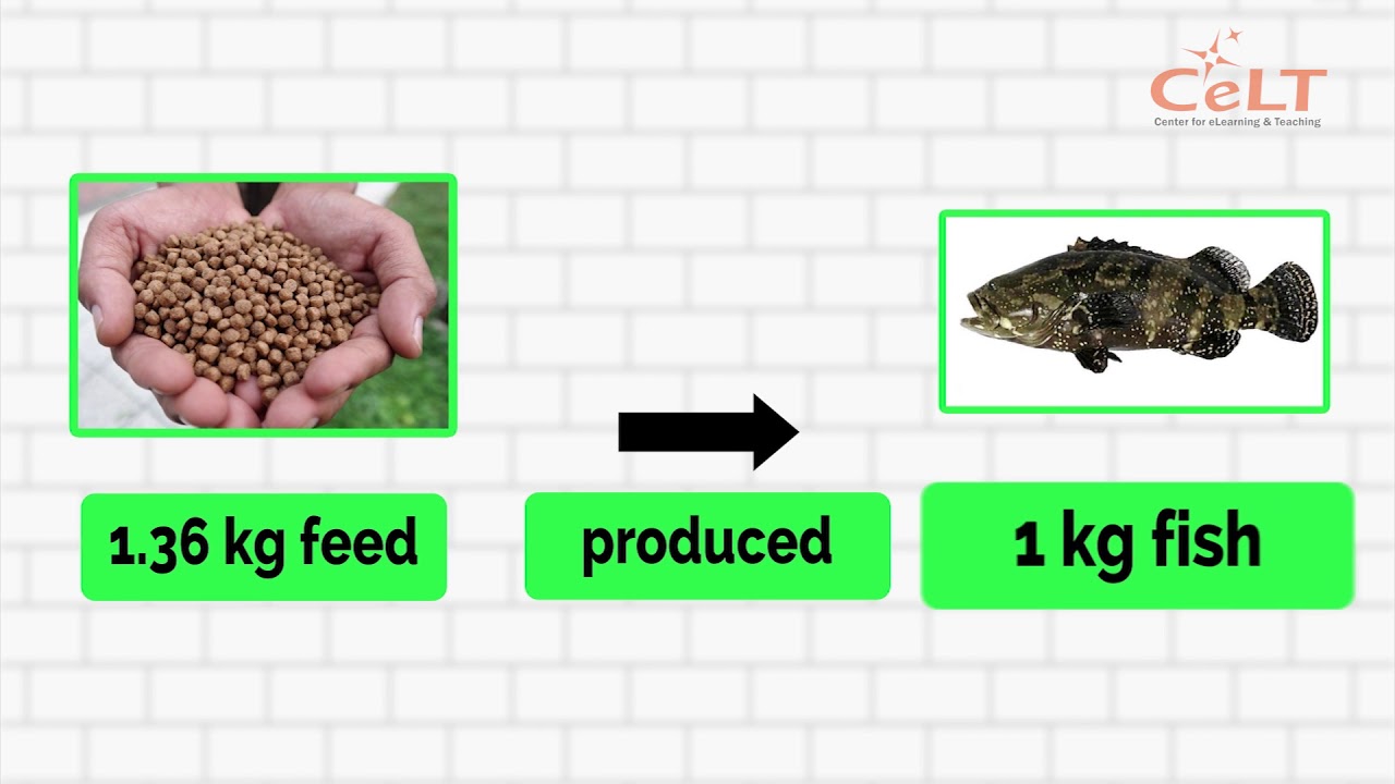 Predicted Feed Conversion Ratio. | Download Scientific Diagram