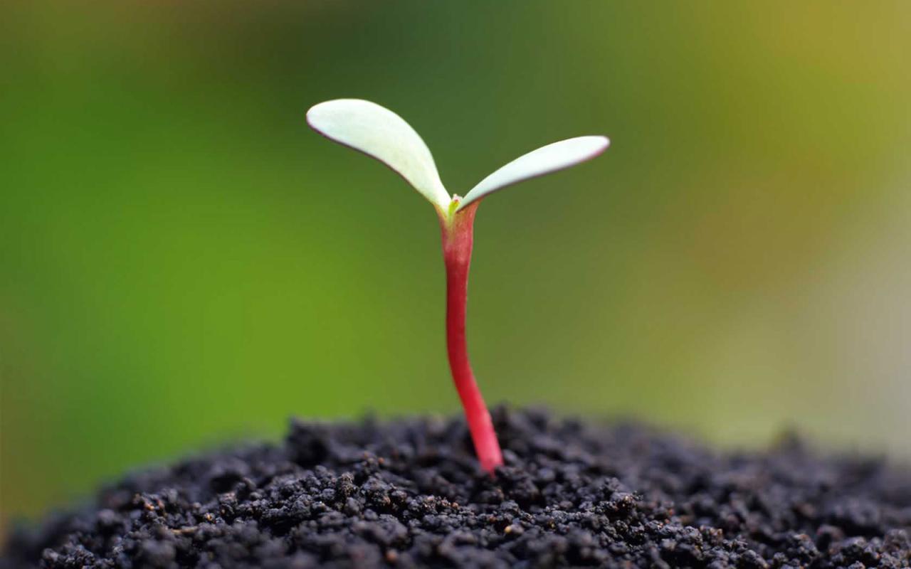 It’s Okay To Grow… - Infinite Grace It’s Okay To Grow… - Infinite Grace