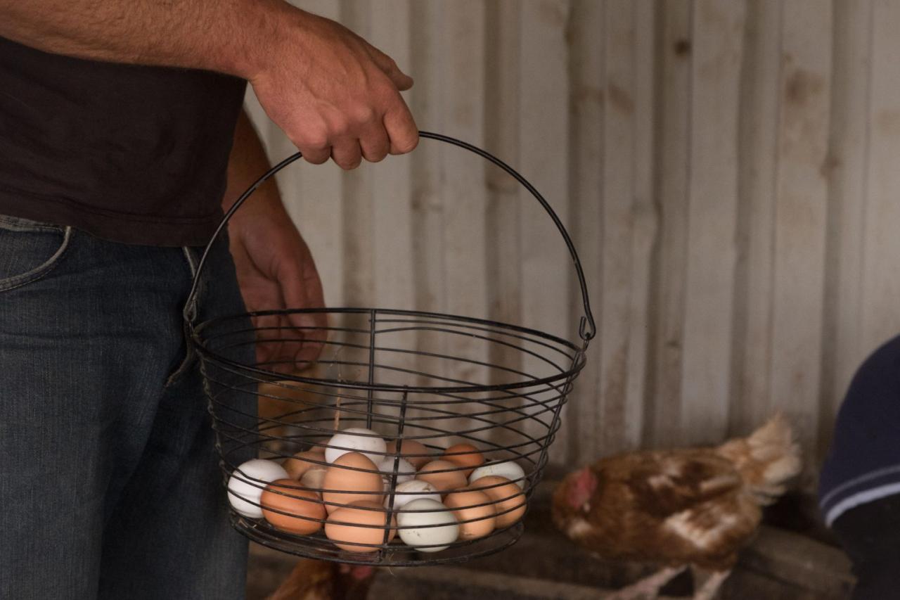 How to Apply for Farm Grants in Canada - Young Agrarians How to Apply for Farm Grants in Canada - Young Agrarians